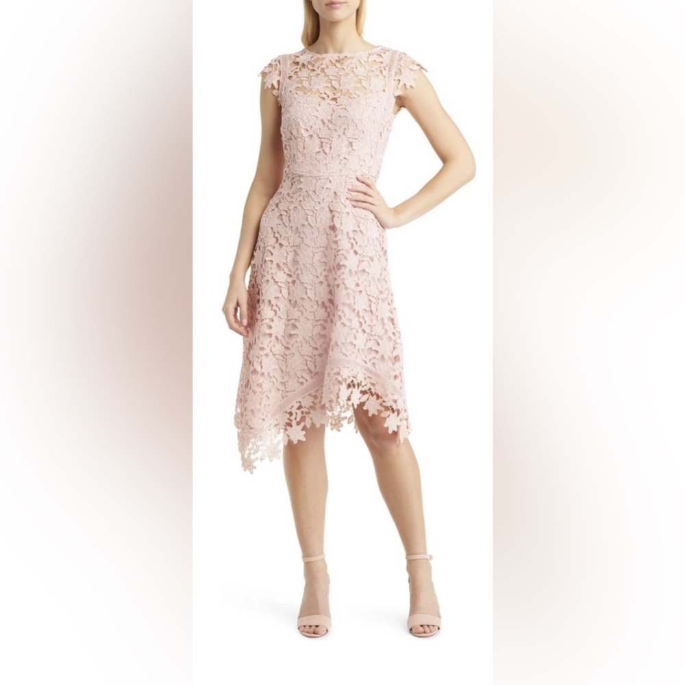 Eliza J Blush Pink Lace A-Line Dress